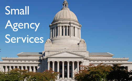 Small Agency Services