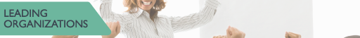Use this link to view the Leading Organizations information webpage