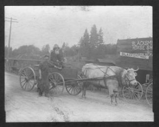 An ox pulling a wagon with two men in Tumwater. 