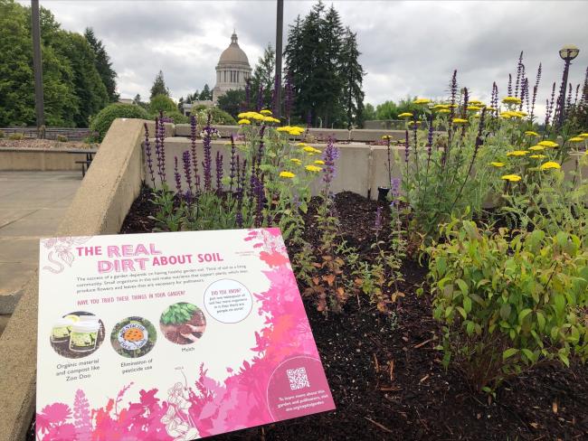 A colorful interpretive sign installed in the garden titled "The real dirt about soil." 