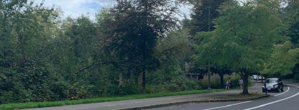 A picture of the road winding along Deschutes Parkway in Olympia, Washington. 