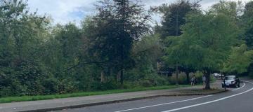 A picture of the road winding along Deschutes Parkway in Olympia, Washington.
