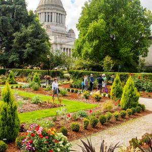 Image of people walking through the Sunken Garden on the Capitol Campus with the Legislative Building in the background framed by deciduous trees.