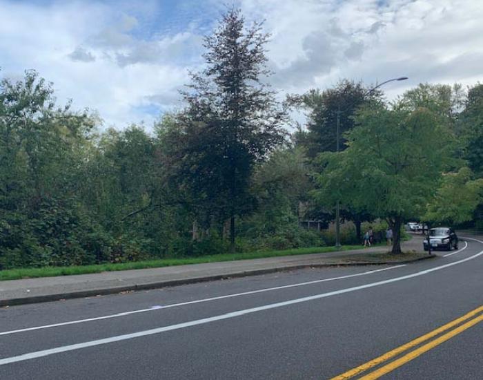 A picture of the road winding along Deschutes Parkway in Olympia, Washington. 